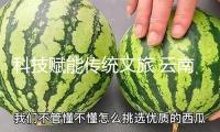 科技賦能傳統(tǒng)文旅 云南旅游構(gòu)建交融開展新格局