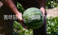 苦盡甘來，小鵬穩(wěn)了嗎？