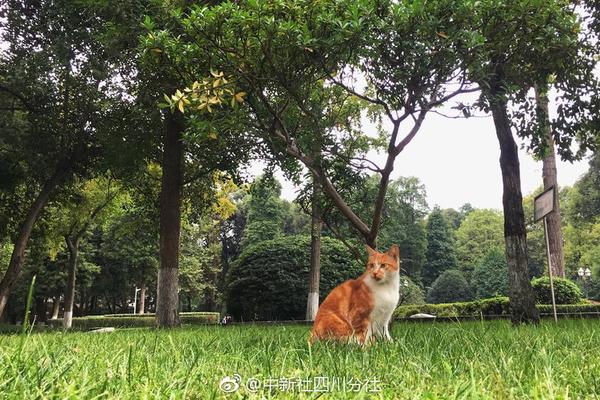龔正：上海促消費(fèi)出實(shí)招，今年將舉辦這些重大促銷活動(dòng)