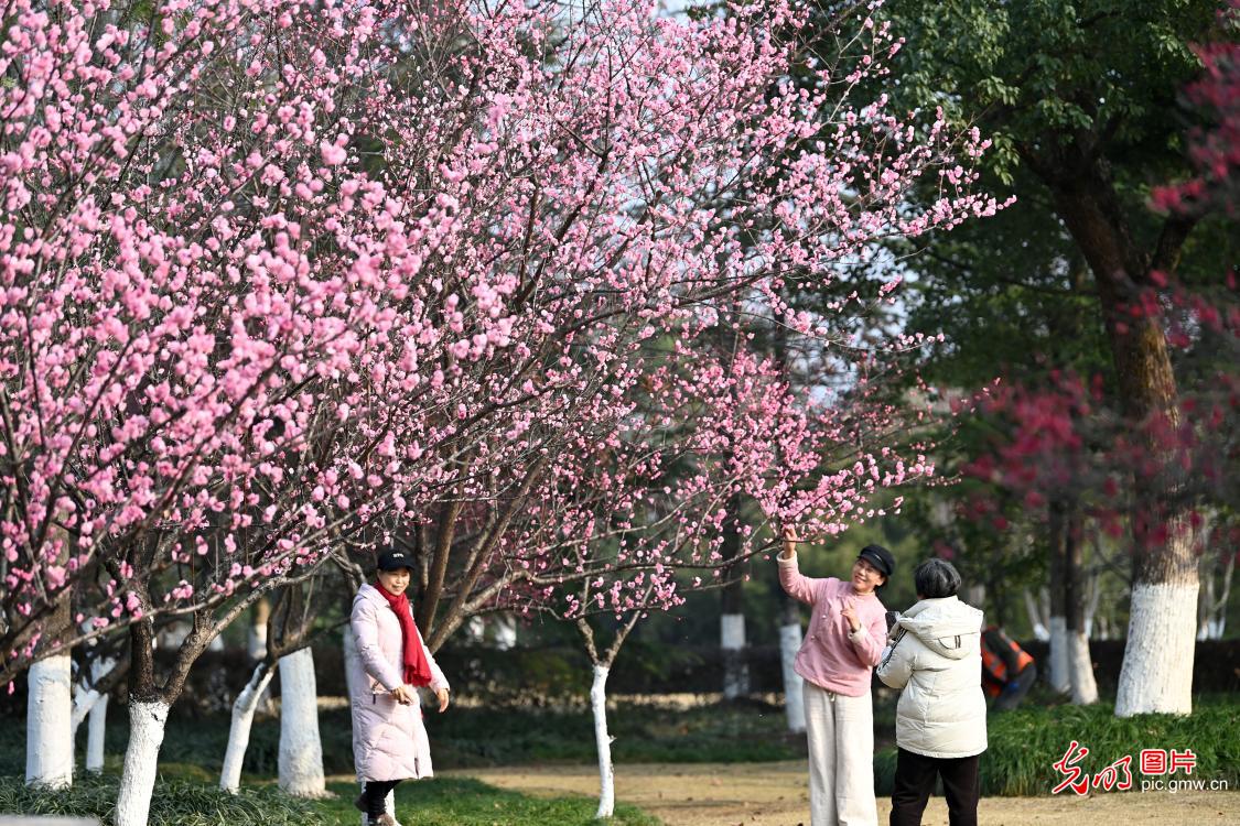 【哪個瀏覽器可以看黑料不打烊】今天盤中突破半年線