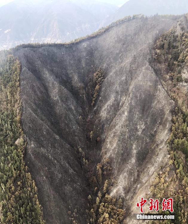 【155fun吃瓜熱門爆料正能量】打擊肉類產(chǎn)品違法犯罪！全國共查獲涉案物品9000余噸