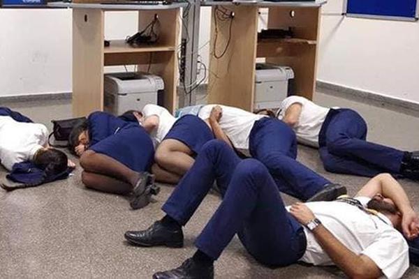 【51熱門今日吃瓜反差婊】春節(jié)出行預訂進入最高峰：25日出行量最高 重慶成為熱門目的地