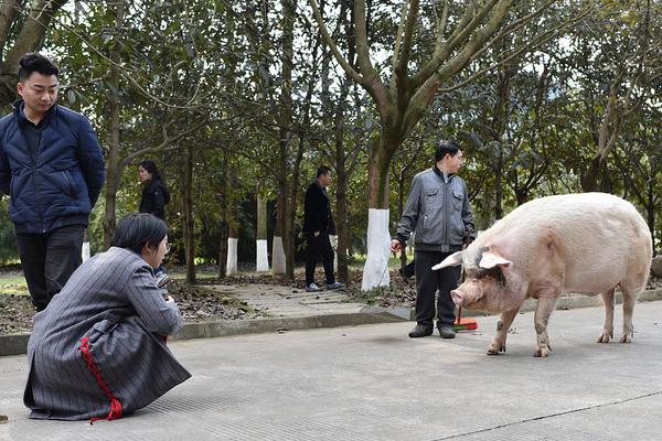 【八月瓜怎么吃】印尼北蘇門答臘省山洪和泥石流災(zāi)害已致20人死亡