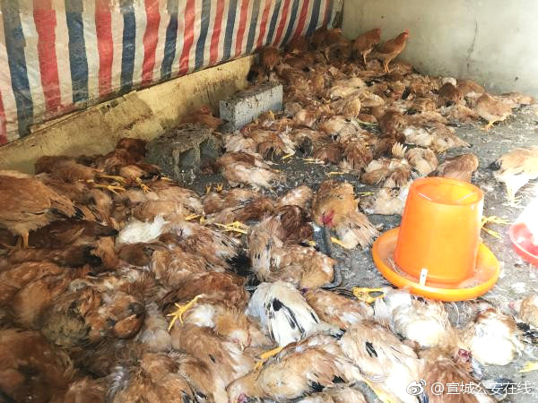 【黑料51吃瓜不打烊爆料】北汽集團捐贈500萬元物資支援西藏地震災(zāi)區(qū)