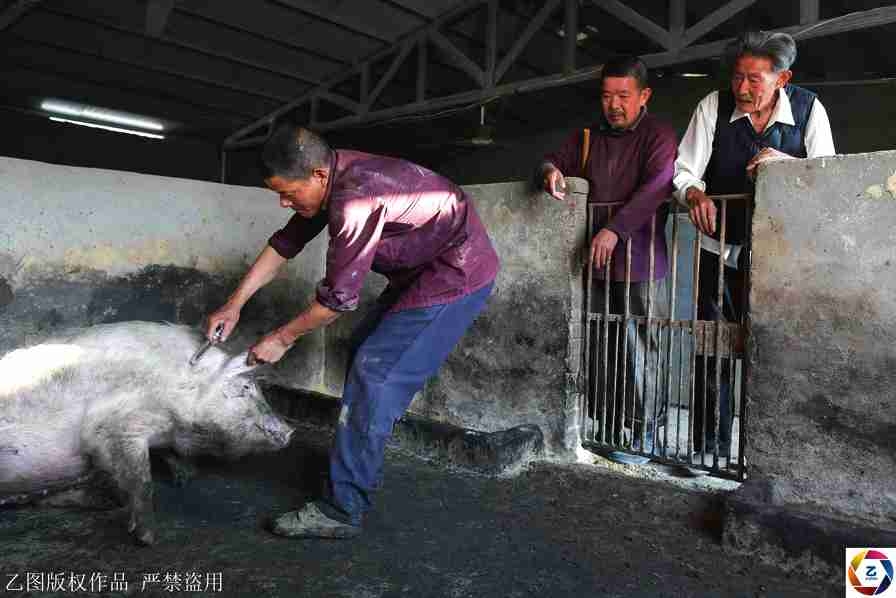【孕婦可以吃哈密瓜嗎】央企發(fā)揮引領(lǐng)作用 競逐新能源賽道