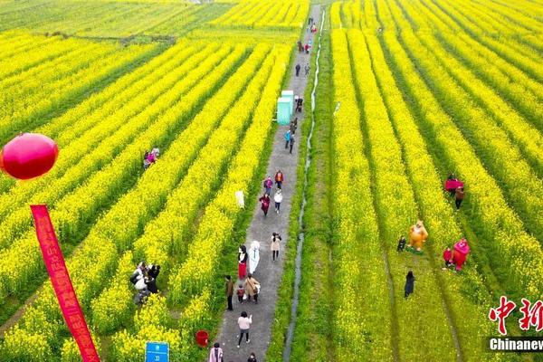 華為靳玉志：智能駕駛對(duì)車載光技術(shù)提出更高要求