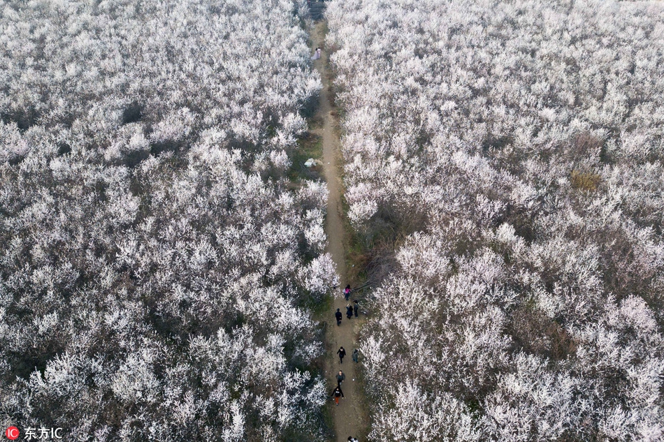 建邦科技董事長鐘永鐸：創(chuàng)新驅(qū)動 打造汽車后市場領(lǐng)導(dǎo)者