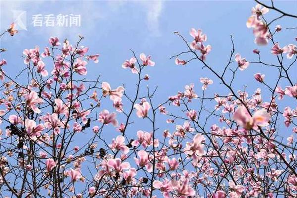 國(guó)家發(fā)改委等部門印發(fā)《關(guān)于完善數(shù)據(jù)流通安全治理 更好促進(jìn)數(shù)據(jù)要素市場(chǎng)化價(jià)值化的實(shí)施方案》