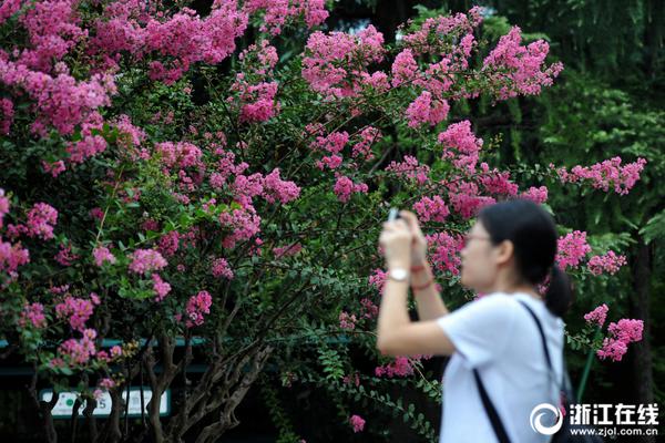 中國宣紙走向海外
