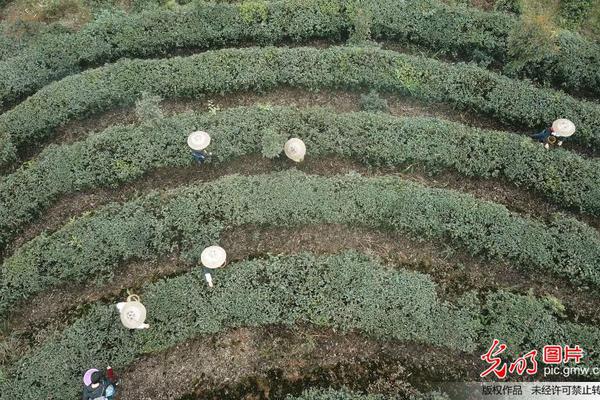 【黑料網(wǎng) - 黑料大事記】寧夏：200多項(xiàng)非遺活動(dòng)“花式”過(guò)年