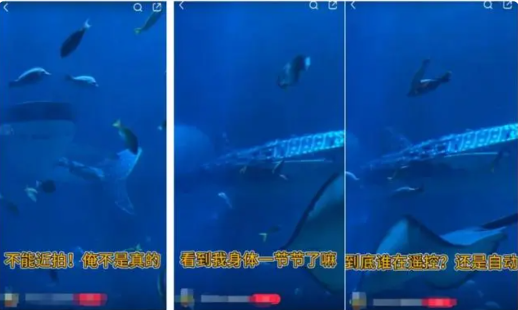 【吃瓜表情包】股民提問炬光科技：公司產(chǎn)品是否已應用于量子芯片和光子芯片領域？