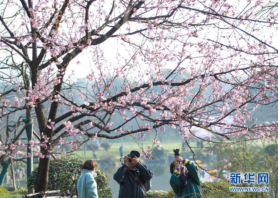 【51熱門今日吃瓜】世糧署暫停向蘇丹扎姆扎姆收容所提供援助