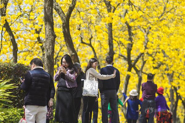 過境免簽再優(yōu)化，彰顯擴大開放決心