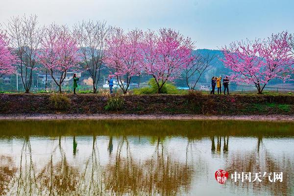 【51吃瓜官網(wǎng)首頁進(jìn)入】“質(zhì)量回報(bào)雙提升”　創(chuàng)業(yè)板公司共繪高質(zhì)量發(fā)展藍(lán)圖