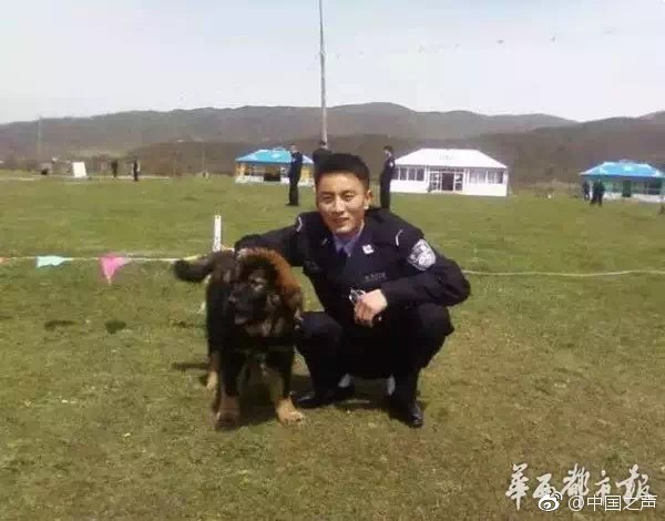 【17.c-起草】消費電子板塊震蕩拉升 朝陽科技,漫步者漲停