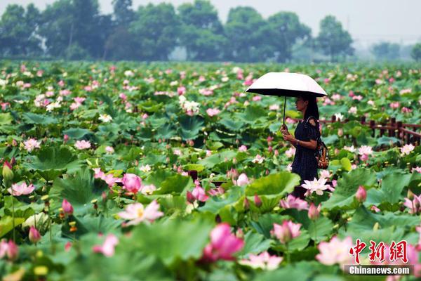 【黑料不打烊官網(wǎng)】茶百道：馬來西亞第二家門店開業(yè) 已落地13家海外門店