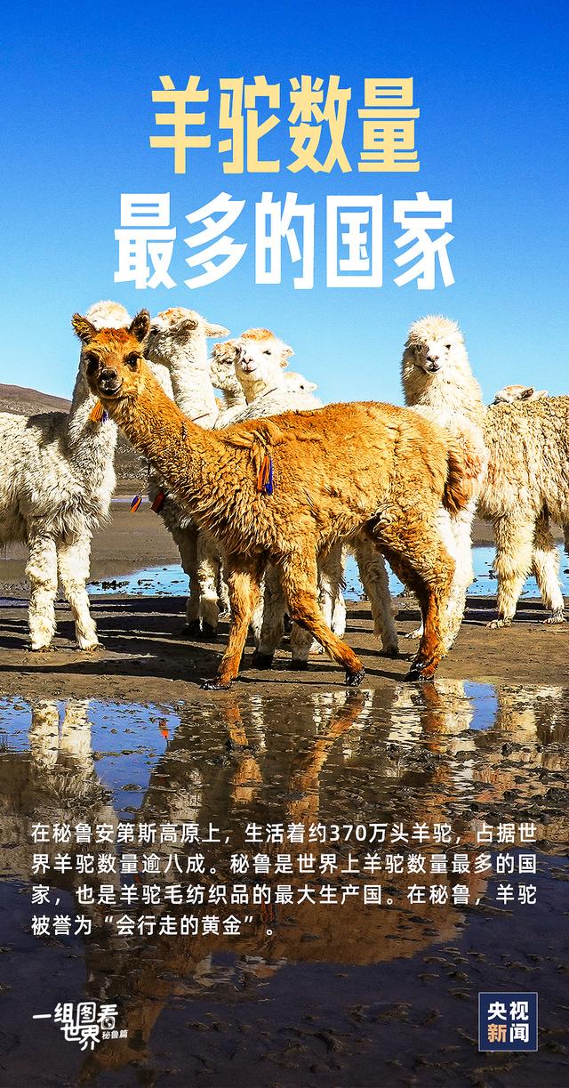 【718黑瓜吃料】上海市長(zhǎng)寧區(qū)委書記張偉:提升金融對(duì)高質(zhì)量發(fā)展的支撐力