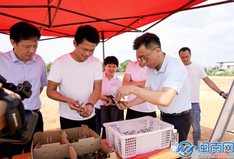 “國補”擴圍 消費電子“換新”需求加速釋放
