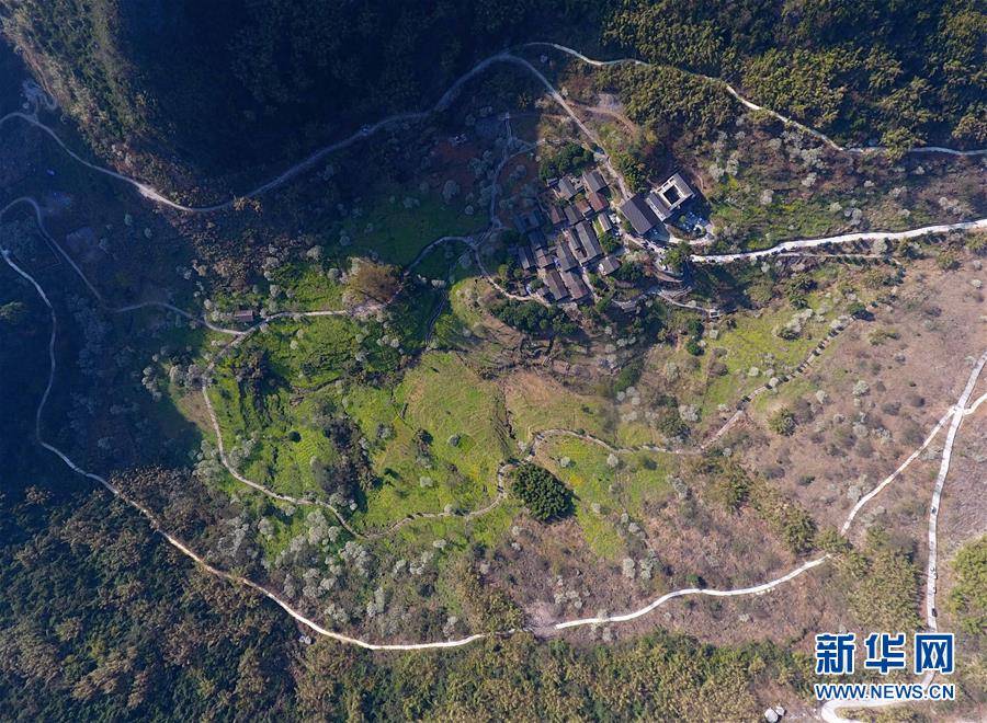 在中國(guó)民樂之城“傾聽”世界