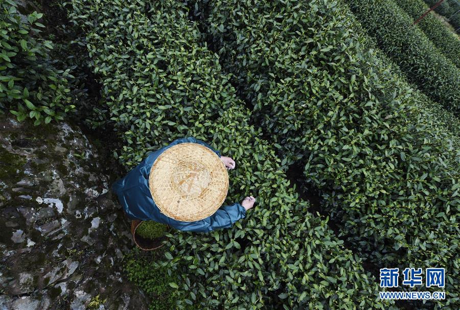 【黑料門-今日黑料-最新2024】河南：加快從“經(jīng)濟(jì)通道”邁向“通道經(jīng)濟(jì)”