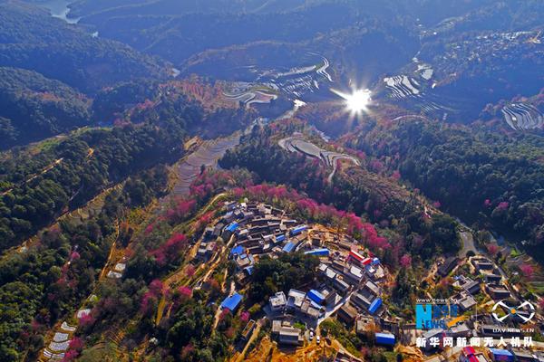 【zztt黑暗傳送門】交通運輸部：2024年全年新增城市軌道交通運營線路18條，新增運營里程748公里