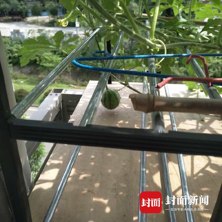 “我國(guó)彩燈把城市裝點(diǎn)得更美麗”