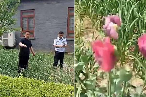 聯(lián)合國糖尿病日：關(guān)于糖尿病，這些說法究竟對不對？