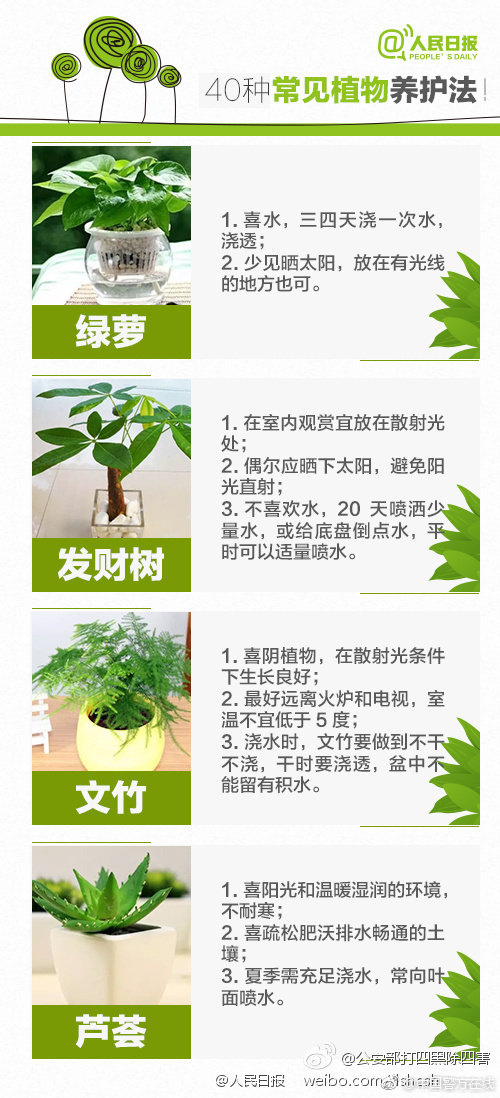 芬蘭宣布退出巴倫支海歐洲
