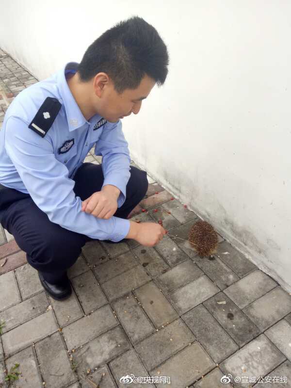 中途離職還有年終獎嗎？法院判了！